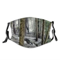 yanfind Winter Old Natural Growth Wilderness Spruce Forest Hardwood Northern Tree Forest Forests Dust Washable Reusable Filter and Reusable Mouth Warm Windproof Cotton Face