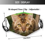 yanfind Garden Fur Hunter Little Cat Kitty Cute Striped Attention Nose Nobody Watching Dust Washable Reusable Filter and Reusable Mouth Warm Windproof Cotton Face