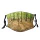 yanfind Dead Temperate Trunk Natural Leaves Landscape Sunlight Broadleaf Umber Forest Hardwood Umbers Dust Washable Reusable Filter and Reusable Mouth Warm Windproof Cotton Face