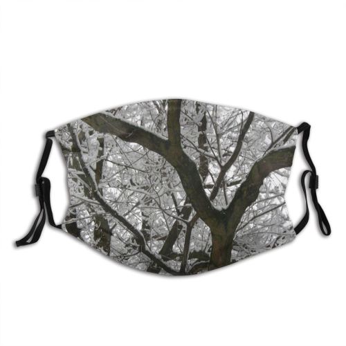 yanfind Winter Frozen Spring Cityscpae Stem Idyllic Woody Landscape Plant Branch River Twig Dust Washable Reusable Filter and Reusable Mouth Warm Windproof Cotton Face