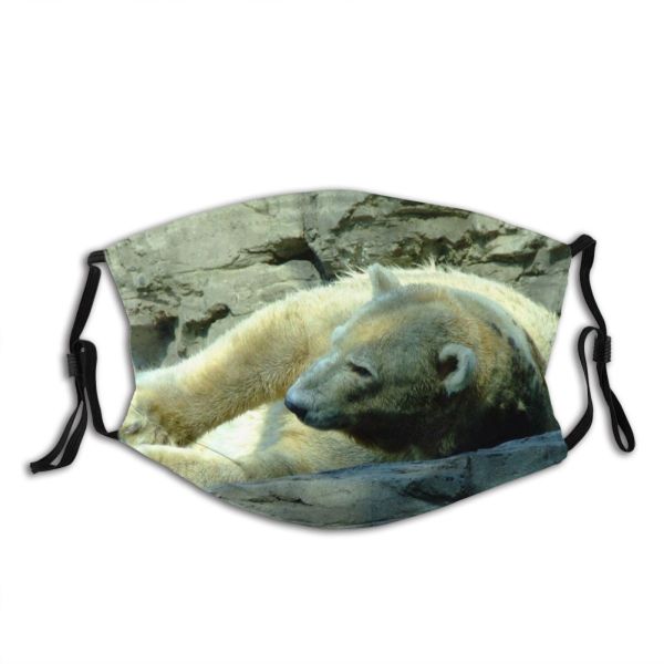 yanfind Sleeping York Polar Mammals Snout Vertebrate Organism Adaptation Sleep Bath Terrestrial Bear Dust Washable Reusable Filter and Reusable Mouth Warm Windproof Cotton Face