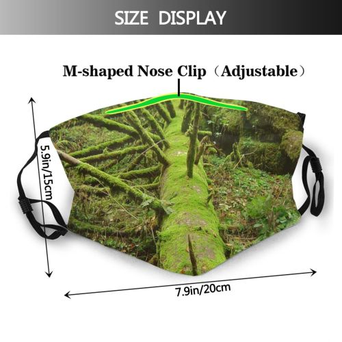 yanfind Rainforest Natural Branches Growth Moss Timber Vegetation Fell Plant Fall Rotten Wood Dust Washable Reusable Filter and Reusable Mouth Warm Windproof Cotton Face
