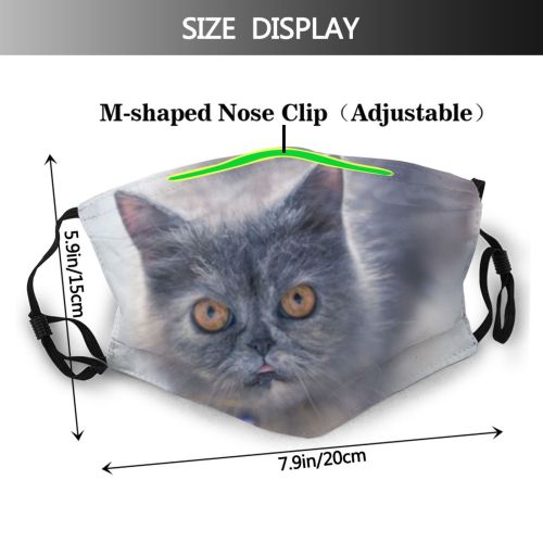 yanfind Isolated Whisker Fur Life Young Striped Cat Wool Cute Carnivore Shorthair Baby Dust Washable Reusable Filter and Reusable Mouth Warm Windproof Cotton Face