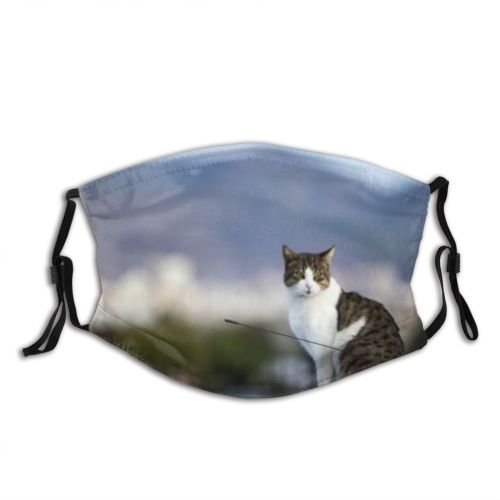 yanfind Paws Cat Kitty Cute Alley Outdoor Curious Beautiful Dust Washable Reusable Filter and Reusable Mouth Warm Windproof Cotton Face