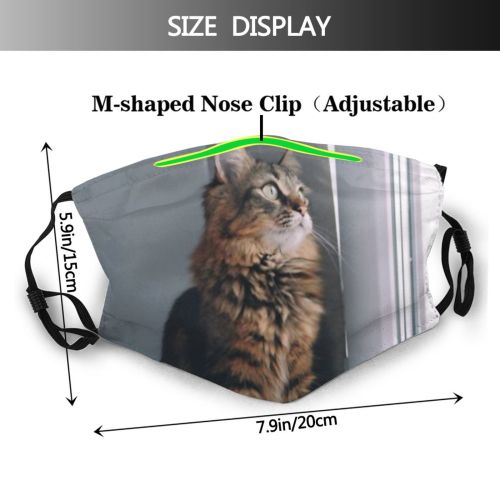 yanfind Comfort Watch Interested Fur Young Little Cat Kitty Cute Warm Window Purr Dust Washable Reusable Filter and Reusable Mouth Warm Windproof Cotton Face