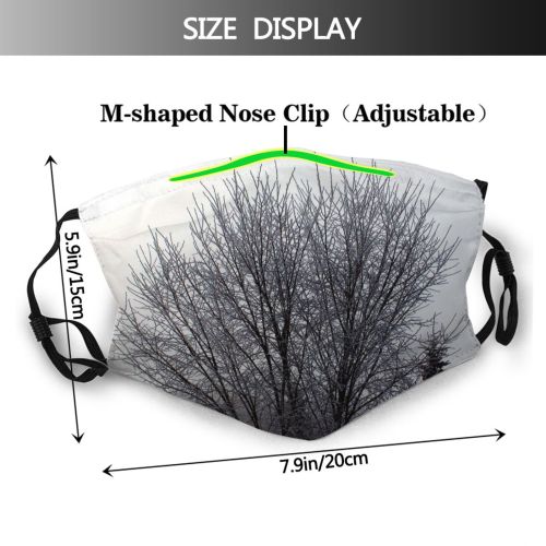 yanfind Winter Frost Winter Natural Atmospheric Branches Woody Landscape Sky Plant Branch Twig Dust Washable Reusable Filter and Reusable Mouth Warm Windproof Cotton Face