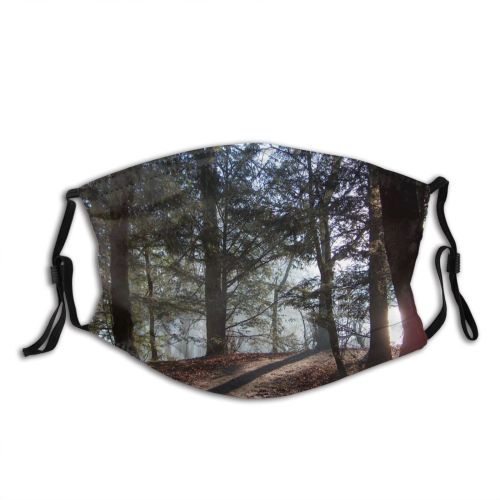 yanfind Natural Atmospheric Woody Landscape Light Netherlands Wood Holland Amsterdamse Forest Leaf Tree Dust Washable Reusable Filter and Reusable Mouth Warm Windproof Cotton Face
