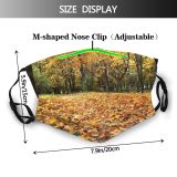 yanfind Temperate Natural Autumn Landscape Broadleaf Leaf Forest Leaf Tree Forest Autumn Park Dust Washable Reusable Filter and Reusable Mouth Warm Windproof Cotton Face