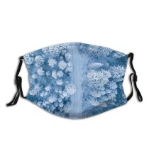 yanfind Ice Shot Footage Frost Holidays Facebook Frosty Road Snowy Icy Forest Daytime Dust Washable Reusable Filter and Reusable Mouth Warm Windproof Cotton Face