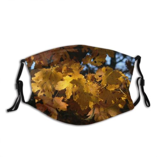 yanfind Plant Biome Plant Branch Maple Leaf Autumn Deciduous Tree Autumn Woody Dust Washable Reusable Filter and Reusable Mouth Warm Windproof Cotton Face