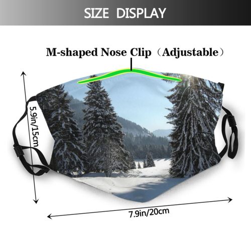 yanfind Spruce Winter Atmospheric Woody Sky Shortleaf Spruce Snow Mountain Forest Tree Tree Dust Washable Reusable Filter and Reusable Mouth Warm Windproof Cotton Face
