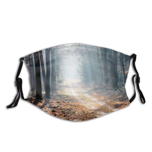 yanfind Winter Path End Natural Atmospheric Autumn Leave Landscape Sky Netherlands Wood Holland Dust Washable Reusable Filter and Reusable Mouth Warm Windproof Cotton Face
