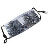 yanfind Pine Winter Colorado Fir Tree Spruce Columbian Lodgepole Shortleaf Snow Winter Balsam Dust Washable Reusable Filter and Reusable Mouth Warm Windproof Cotton Face