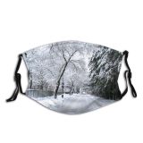 yanfind Lane Road Forest Landscape Tree Tree Branch Plant Frost Winter Natural Freezing Dust Washable Reusable Filter and Reusable Mouth Warm Windproof Cotton Face
