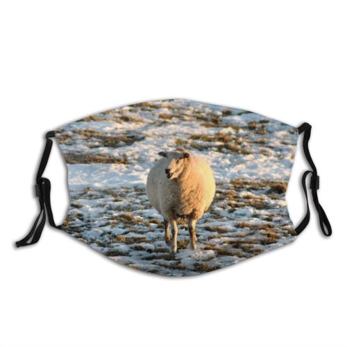 yanfind Winter Farm Sheep Winter Snow Wildlife Snow Dust Washable Reusable Filter and Reusable Mouth Warm Windproof Cotton Face