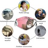 yanfind Fur Young Cat Kitty Cute Box Beautiful Pretty Face Pet Fluffy Eyes Dust Washable Reusable Filter and Reusable Mouth Warm Windproof Cotton Face