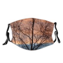 yanfind Winter Sky Natural Branches Woody Sunset Landscape Sky Branch Clouds Afterglow Tree   Dust Washable Reusable Filter and Reusable Mouth Warm Windproof Cotton Face