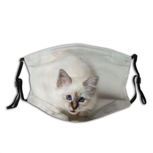 yanfind Isolated Fur Young Cat Kitty Cute Grey Interior Sacred Laundry Relax Birman Dust Washable Reusable Filter and Reusable Mouth Warm Windproof Cotton Face