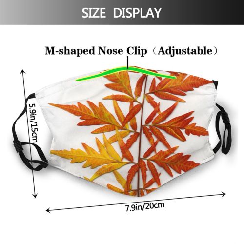 yanfind Flowering Leaves Leaf Garden Leaf Plant Twig Stem Tree Tree Plant Autumn Dust Washable Reusable Filter and Reusable Mouth Warm Windproof Cotton Face