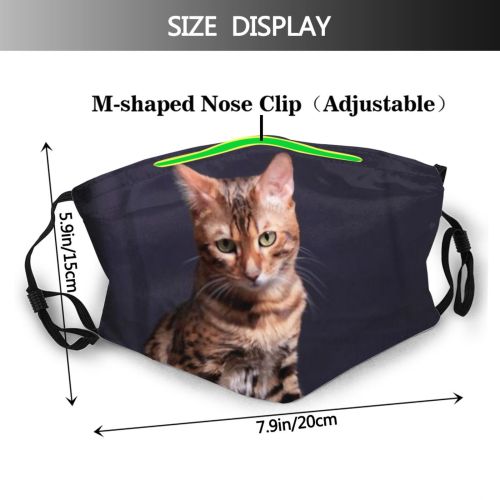 yanfind Fur Young Cat Kitty Cute Bengal Beautiful Pet Studio Tabby Portrait Dark Dust Washable Reusable Filter and Reusable Mouth Warm Windproof Cotton Face