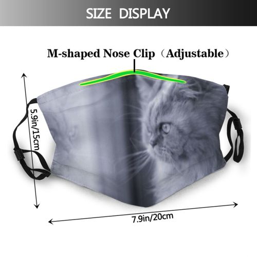 yanfind Isolated Reflection Fur Young Cat Kitty Cute Grey Window Mirror Flowers Nostalgic Dust Washable Reusable Filter and Reusable Mouth Warm Windproof Cotton Face