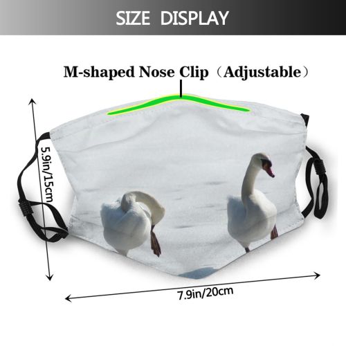yanfind Winter Frozen Ducks Goose Ice Beak Geese Duck Swans Bird Swan Birds Dust Washable Reusable Filter and Reusable Mouth Warm Windproof Cotton Face