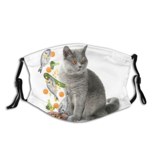 yanfind Isolated Assortment Vegetable Meow Cat Kitty British Cute Carnivore Raw Flying Shorthair Dust Washable Reusable Filter and Reusable Mouth Warm Windproof Cotton Face