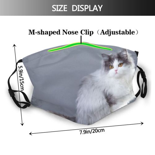 yanfind Isolated Thoroughbred Fur Cat Cute Grey Muzzle Clever Soft Beautiful Haired Pet Dust Washable Reusable Filter and Reusable Mouth Warm Windproof Cotton Face