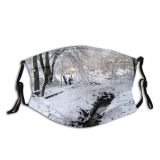 yanfind Winter Winter Natural Landscape Ice Ice Branch Snow Holland Tree Frost Season Dust Washable Reusable Filter and Reusable Mouth Warm Windproof Cotton Face