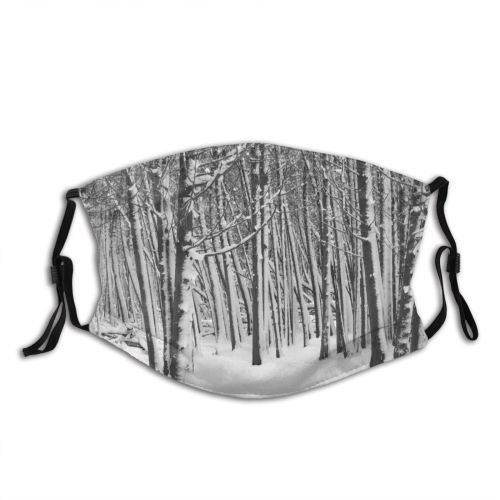 yanfind Winter Winter Natural Woody Landscape Spruce Snow Lines Forest Hardwood Northern Tree Dust Washable Reusable Filter and Reusable Mouth Warm Windproof Cotton Face