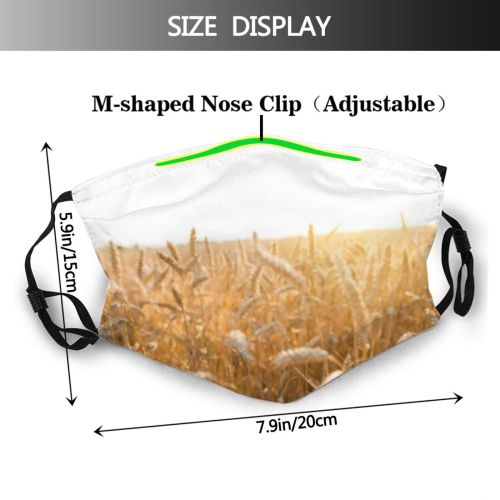 yanfind Cereal Wheat Agricultural Season Field Rye Sky Grow Farming Farm Harvest Straw Dust Washable Reusable Filter and Reusable Mouth Warm Windproof Cotton Face