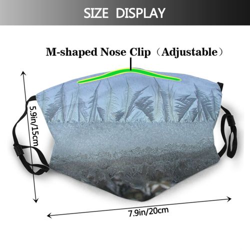 yanfind Mystic Family Houses Frost Sky Ice Bushes Tree Frost Winter Grass Window Dust Washable Reusable Filter and Reusable Mouth Warm Windproof Cotton Face