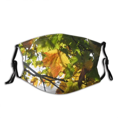 yanfind Maple Autumn Woody Leaves Plant Branch Warsaw Leaf Sunlight Leaf Tree Poland Dust Washable Reusable Filter and Reusable Mouth Warm Windproof Cotton Face