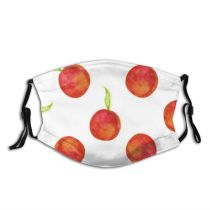 yanfind Isolated Peach Cute Vegetarian Seamless Berry Natural Juicy Summer Ornament Fresh Design Dust Washable Reusable Filter and Reusable Mouth Warm Windproof Cotton Face