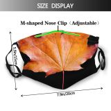 yanfind Maple Autumn Woody Leaves Maple Calm Fall Autumnal Plant Wood Leaf Forest Dust Washable Reusable Filter and Reusable Mouth Warm Windproof Cotton Face