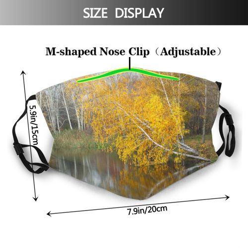 yanfind Leaf Woody Landscape Reflection Leaf Fall River Tree Plant Natural Autumn Autumn Dust Washable Reusable Filter and Reusable Mouth Warm Windproof Cotton Face