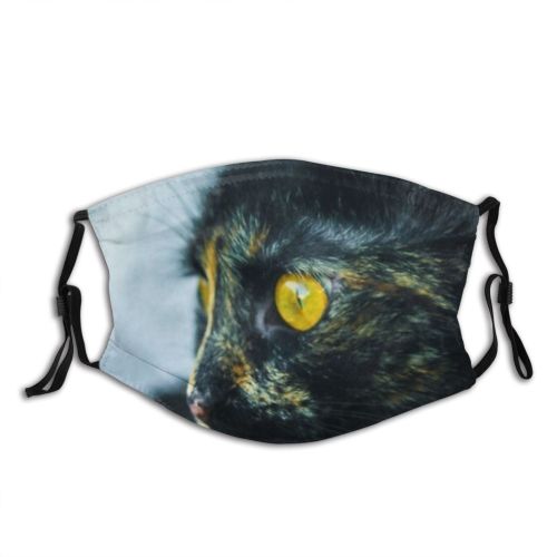 yanfind Abstract Isolated Watch Cat Colorful Wildlife Night Macro Spooky Beautiful Face Pet Dust Washable Reusable Filter and Reusable Mouth Warm Windproof Cotton Face