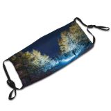 yanfind Exploration East Star Landscape Autumn Solitude Tranquility Pursuit Tree Freshness Night Snow Dust Washable Reusable Filter and Reusable Mouth Warm Windproof Cotton Face