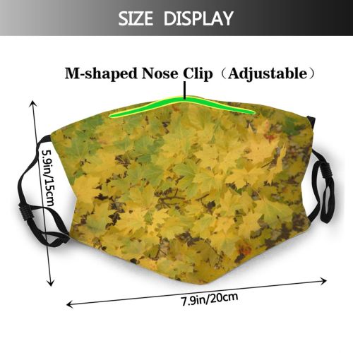 yanfind Leaves Deciduous Woody Leaf Maple Plant Tree Plant Autumn Flower Dust Washable Reusable Filter and Reusable Mouth Warm Windproof Cotton Face