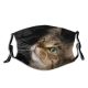yanfind Pensive Isolated Whisker Fur Cat Kitty Coon Intelligent Space Face Pet Maine Dust Washable Reusable Filter and Reusable Mouth Warm Windproof Cotton Face