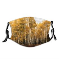 yanfind Natural Beauty Autumn Woody Leaves Landscape Plant Fall Aspen Forest Leaf Northern Dust Washable Reusable Filter and Reusable Mouth Warm Windproof Cotton Face
