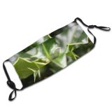 yanfind Winter Greenery Christmas Leaves Holly Plant Bush Plane Flower Holly Leaf Tree Dust Washable Reusable Filter and Reusable Mouth Warm Windproof Cotton Face