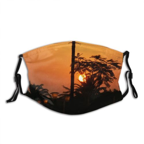 yanfind Morning Palms Hot Sun Athens Greece Sunset Sky Afterglow Palm Sunrise Tree Dust Washable Reusable Filter and Reusable Mouth Warm Windproof Cotton Face