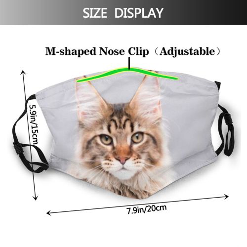 yanfind Lovely Fur Striped Cat Kitty Cute Coon Nose Pedigreed Fauna Soft Curious Dust Washable Reusable Filter and Reusable Mouth Warm Windproof Cotton Face