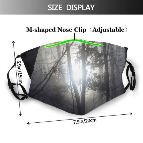 yanfind Winter Forest Sunlight Sky Trees Tuscany Tree Branch Forest Natural Atmospheric Light Dust Washable Reusable Filter and Reusable Mouth Warm Windproof Cotton Face