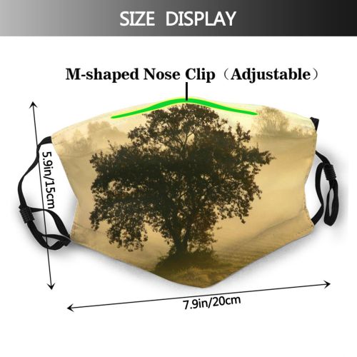 yanfind Plant Croatia Morning Morning Tree Tree Plant Fog Light Woody Sky Ozalj Dust Washable Reusable Filter and Reusable Mouth Warm Windproof Cotton Face