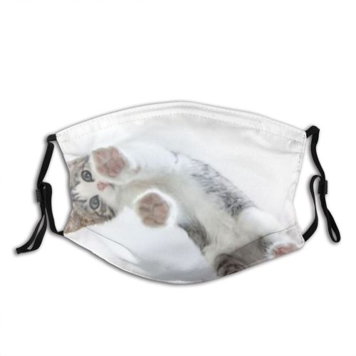 yanfind Isolated Fur Straight Young Cat Game Cute Kitty Cheerful Scottish Beautiful Below Dust Washable Reusable Filter and Reusable Mouth Warm Windproof Cotton Face