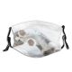 yanfind Isolated Fur Straight Young Cat Game Cute Kitty Cheerful Scottish Beautiful Below Dust Washable Reusable Filter and Reusable Mouth Warm Windproof Cotton Face