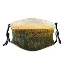 yanfind Blossom Flower Dazur Van Vibrant Blooming Romantic Plant Gogh Sunflowers Idyll Abandoned Dust Washable Reusable Filter and Reusable Mouth Warm Windproof Cotton Face