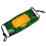 yanfind  Flower Botany Plant Calendula Bloom Floral Summer Leaf Daisy Marigold Petal Dust Washable Reusable Filter and Reusable Mouth Warm Windproof Cotton Face